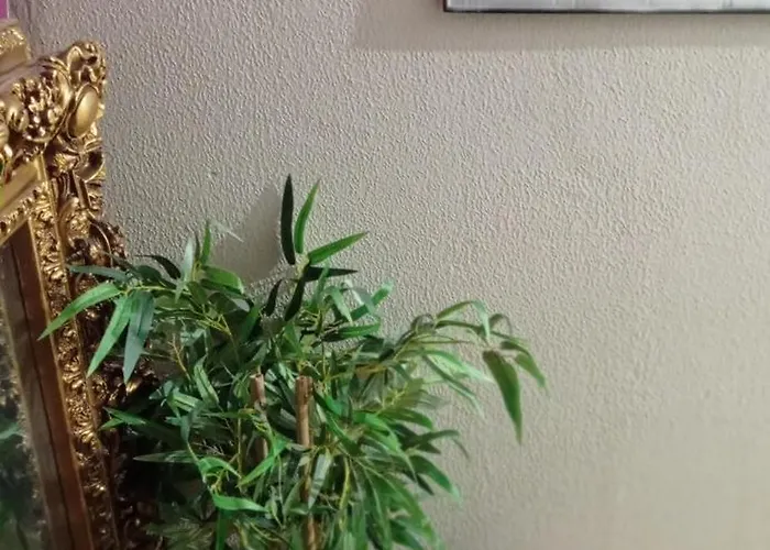 Gascona Con Deli Habitación en casa particular *